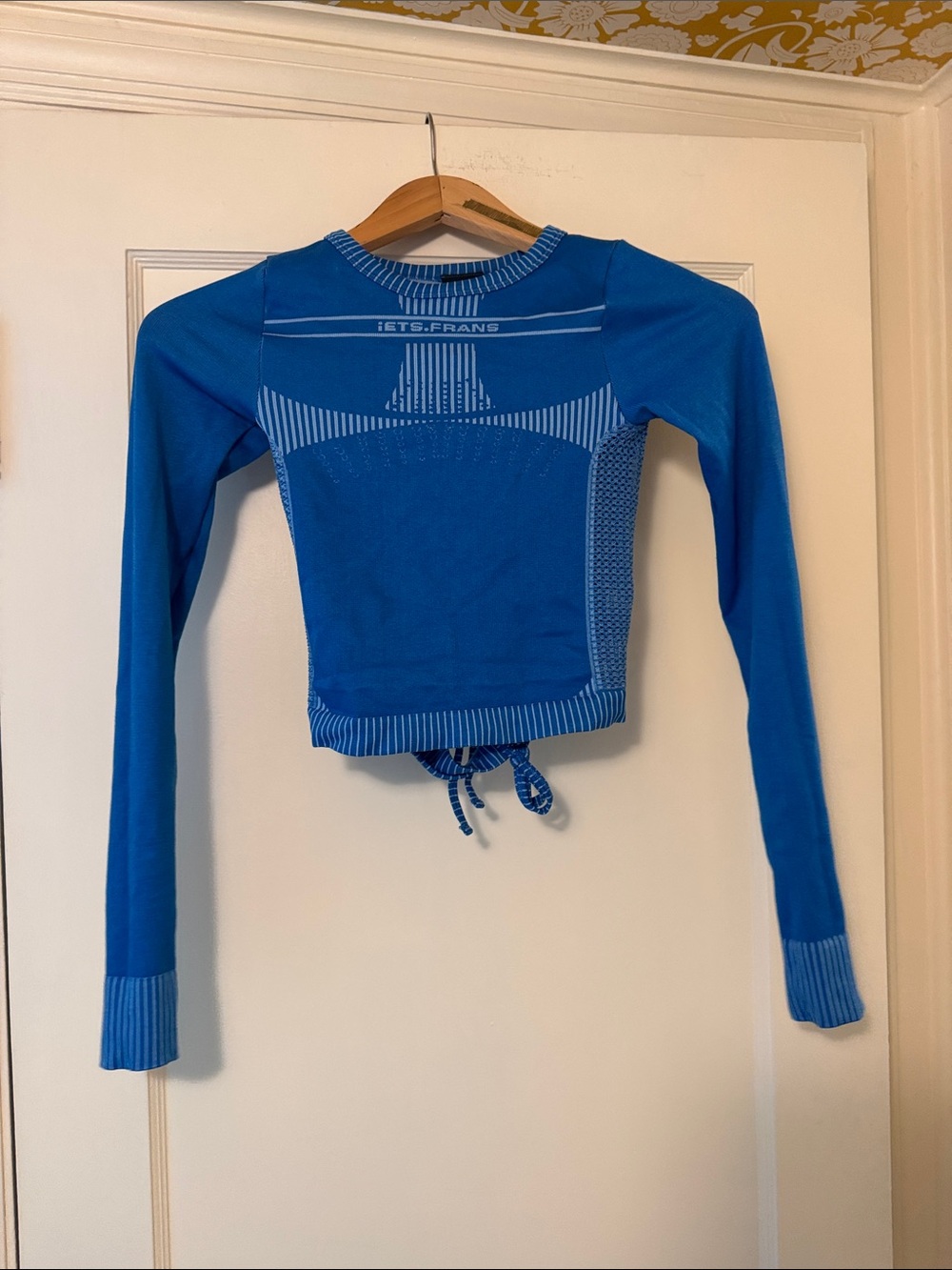 Urban Outfitters Bright Blue Long Sleeve Cropped Top